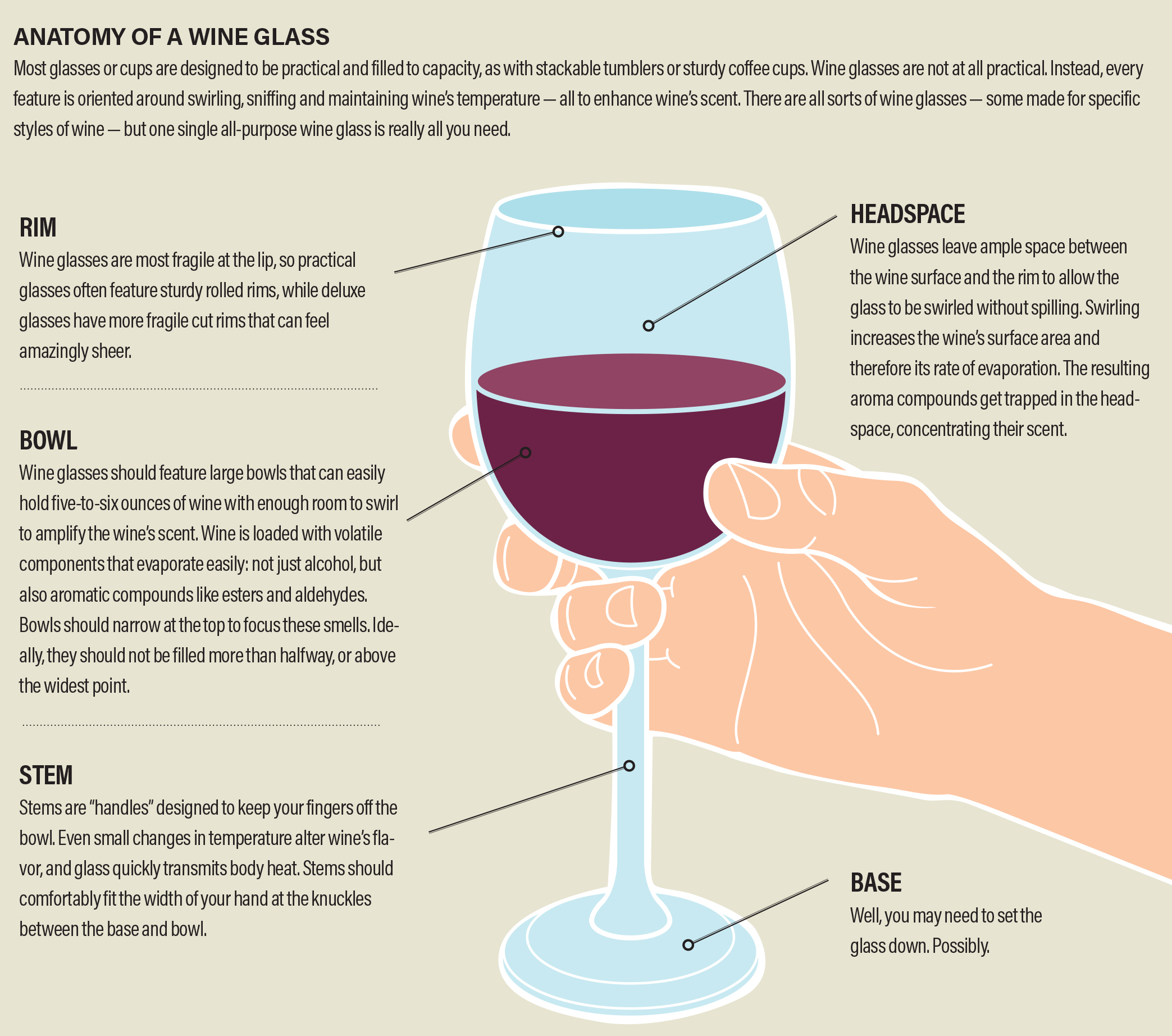 Everything You Need to Know about Wine Glasses - Foley Food and