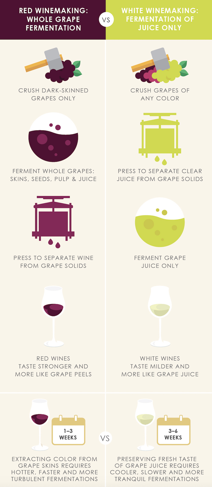 Infographic: The Real Difference Between Red and White Wine | Beverage