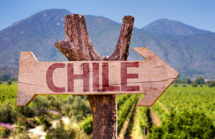 wine reviews south american wines beverage dunamics panel ratings